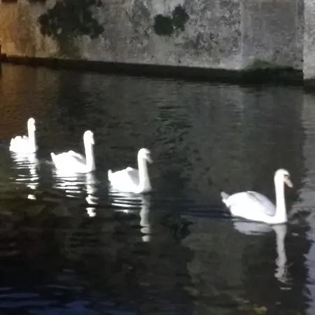 Malibu شقة كوكسيجدي