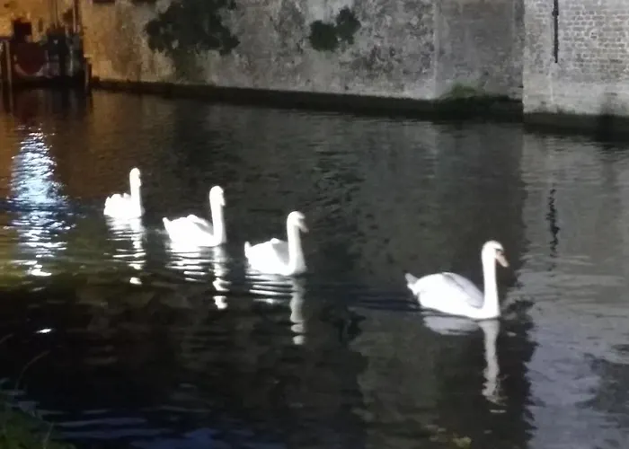 Malibu Appartement Coxyde